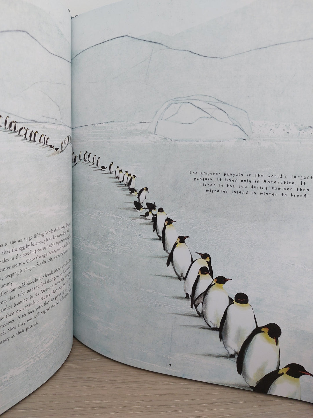 Migration - carte in engleza despre pinguini imperiali si alte animale migratoare