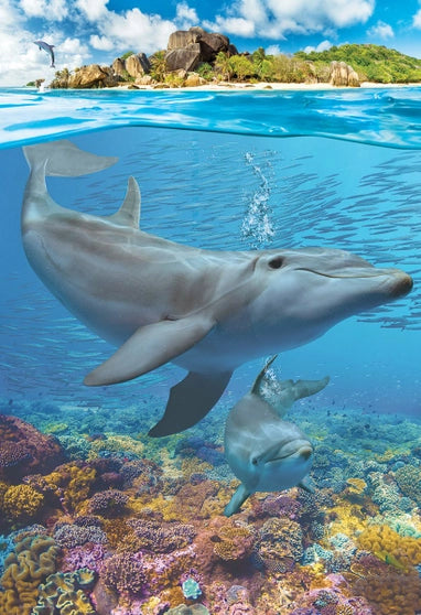 Puzzle Delfini
