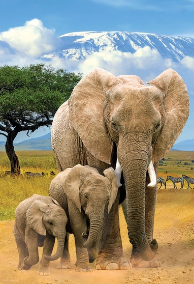Puzzle Elefanti