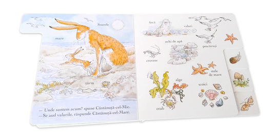 Ghici cât de mult te iubesc. Să descoperim natura