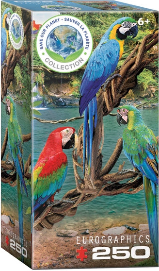 Puzzle Papagali Macaw