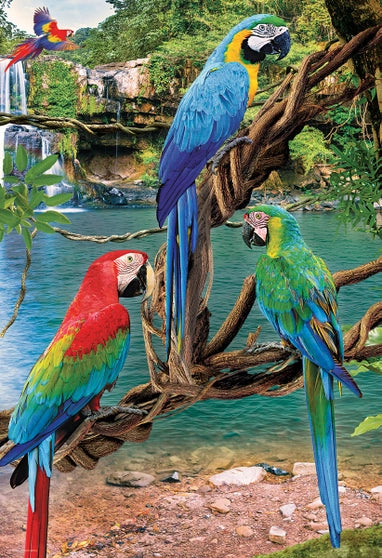Puzzle Papagali Macaw