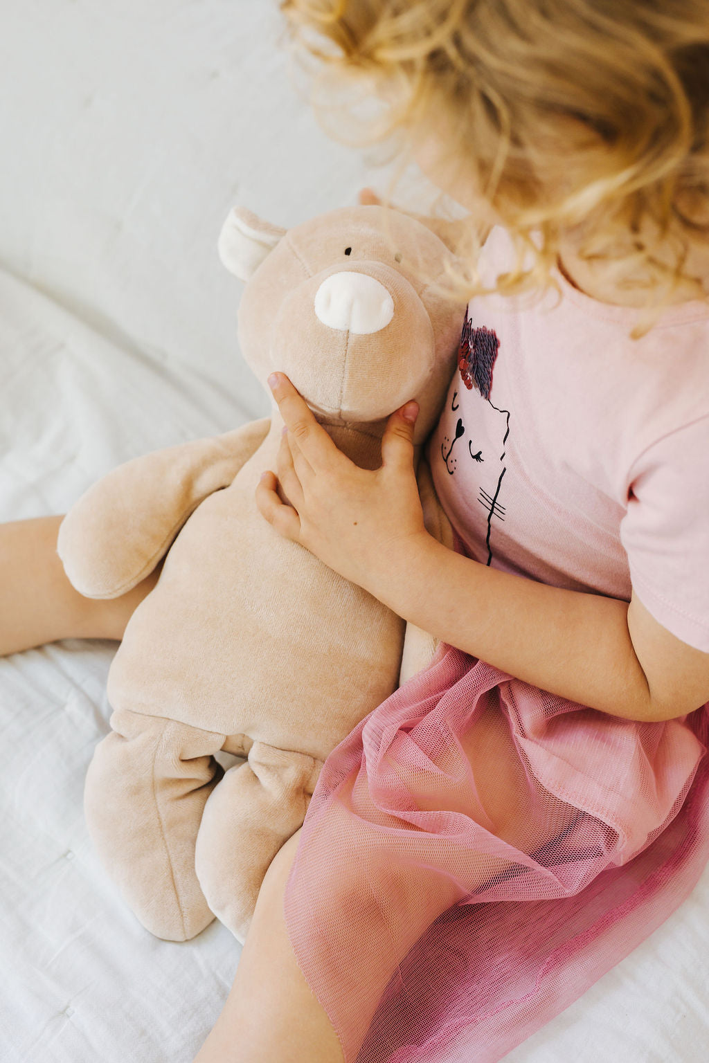 TEDDY mare
