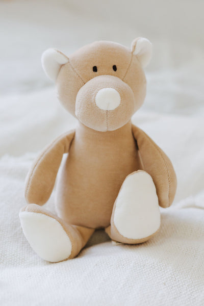 TEDDY mic