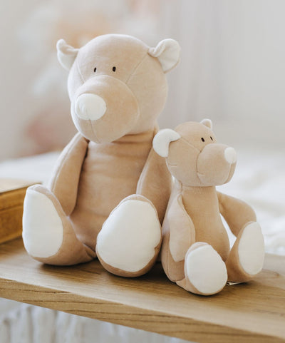 TEDDIES