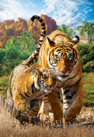 Puzzle Tigri