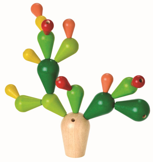 Cactus echilibrat