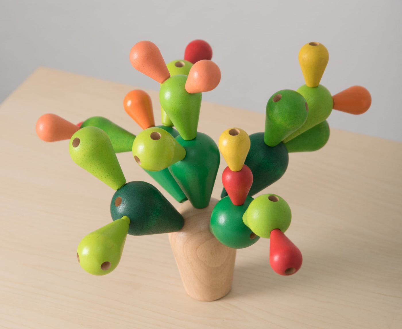 Cactus echilibrat