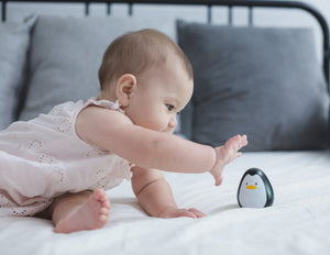 Pinguin de lemn - jucarie Plan Toys pentru bebelusi 6 luni- 3 ani copii jucausi