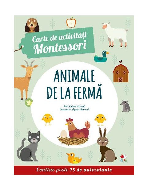 Carte de activitati Montessori - pentru copii